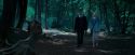 OdF-Potterish_3183.jpg