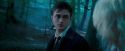 OdF-Potterish_3226.jpg