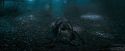 OdF-Potterish_3247.jpg