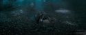 OdF-Potterish_3251.jpg
