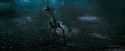 OdF-Potterish_3252.jpg