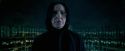 OdF-Potterish_3403.jpg
