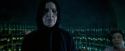 OdF-Potterish_3404.jpg