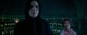 OdF-Potterish_3405.jpg