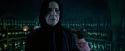 OdF-Potterish_3406.jpg