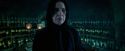 OdF-Potterish_3407.jpg