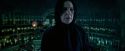 OdF-Potterish_3408.jpg