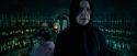 OdF-Potterish_3409.jpg