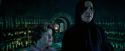 OdF-Potterish_3414.jpg