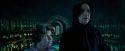 OdF-Potterish_3416.jpg