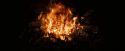 OdF-Potterish_3789.jpg