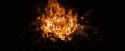 OdF-Potterish_3796.jpg