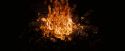 OdF-Potterish_3797.jpg