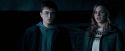OdF-Potterish_3984.jpg