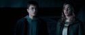 OdF-Potterish_3986.jpg