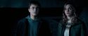 OdF-Potterish_3987.jpg