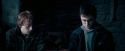 OdF-Potterish_4067.jpg