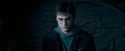 OdF-Potterish_4074.jpg