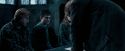 OdF-Potterish_4086.jpg