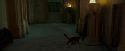 OdF-Potterish_4311.jpg