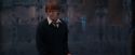 OdF-Potterish_4378.jpg