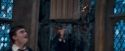 OdF-Potterish_4538.jpg