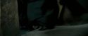 OdF-Potterish_4573.jpg