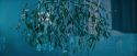 OdF-Potterish_4818.jpg