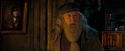 OdF-Potterish_5031.jpg