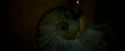 OdF-Potterish_5042.jpg