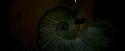 OdF-Potterish_5043.jpg