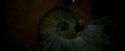 OdF-Potterish_5044.jpg