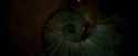 OdF-Potterish_5045.jpg