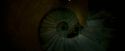 OdF-Potterish_5046.jpg