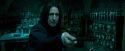 OdF-Potterish_5133.jpg