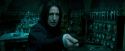 OdF-Potterish_5134.jpg