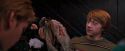 OdF-Potterish_5197.jpg