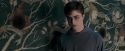 OdF-Potterish_5292.jpg