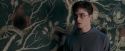 OdF-Potterish_5295.jpg