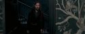 OdF-Potterish_5315.jpg