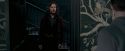 OdF-Potterish_5316.jpg