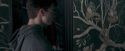 OdF-Potterish_5320.jpg