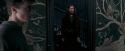 OdF-Potterish_5330.jpg