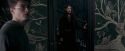 OdF-Potterish_5334.jpg
