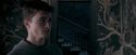 OdF-Potterish_5383.jpg