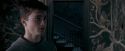 OdF-Potterish_5384.jpg