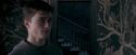 OdF-Potterish_5392.jpg