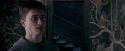 OdF-Potterish_5406.jpg
