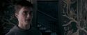 OdF-Potterish_5409.jpg
