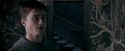 OdF-Potterish_5416.jpg